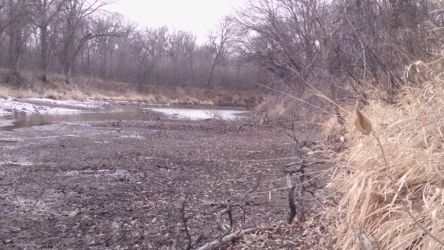 Because the now-dead loops stopped flowing more than 40 years ago, a lot of sediment has accumulated. We may need to be intentional about clearing this in some areas.