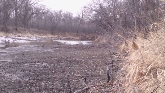 Because the now-dead loops stopped flowing more than 40 years ago, a lot of sediment has accumulated. We may need to be intentional about clearing this in some areas.