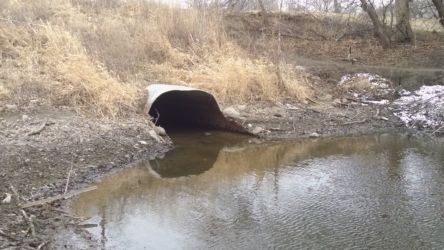 These culverts that connect the now-dead loops to the main river channel are one of the problems. They don't allow much current to flow, they keep recreation out, and they keep trash and algae in.